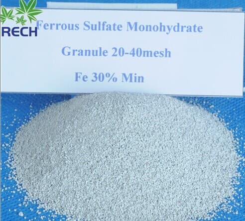 Ferrous sulfate  monohydrate